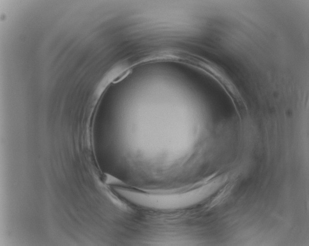 X0000075830858200610061820