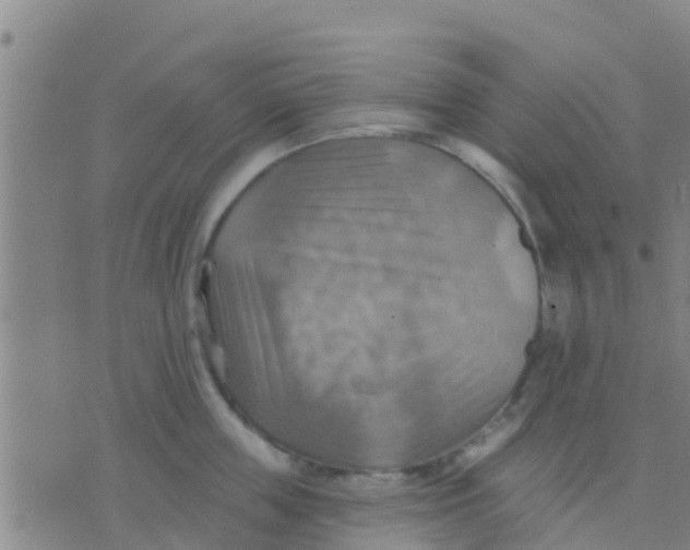 X0000075830859200610061820