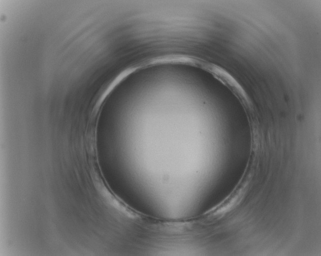 X0000075830860200610061820