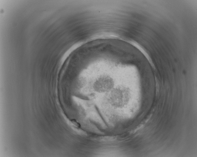 X0000075830861200610061820