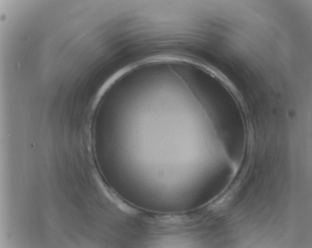 X0000075830862200610061820