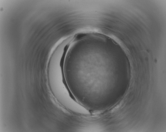 X0000075830864200610061820