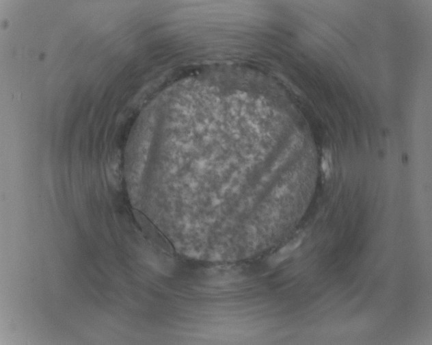 X0000075830867200610061819