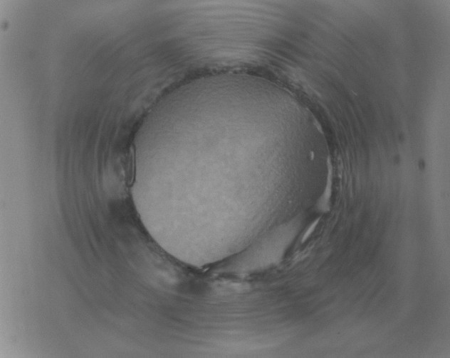 X0000075830868200610061819