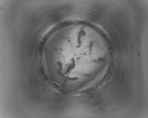 X0000075830871200610061819