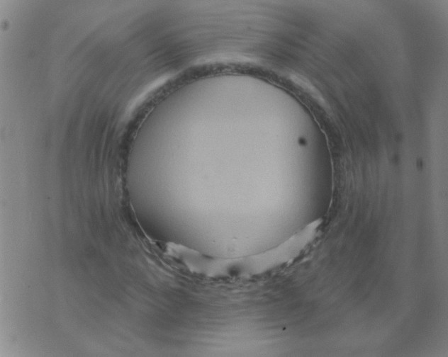 X0000075830872200610061819