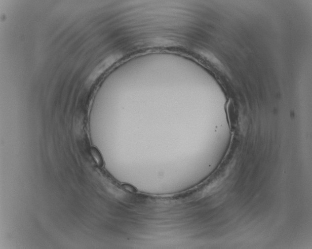 X0000075830873200610061819