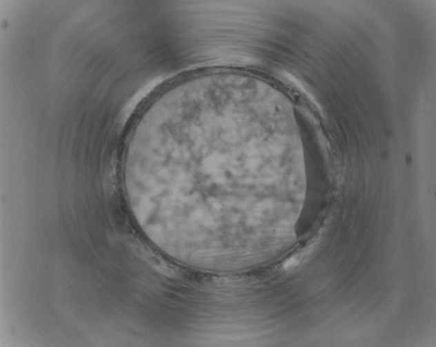 X0000075830875200610061819