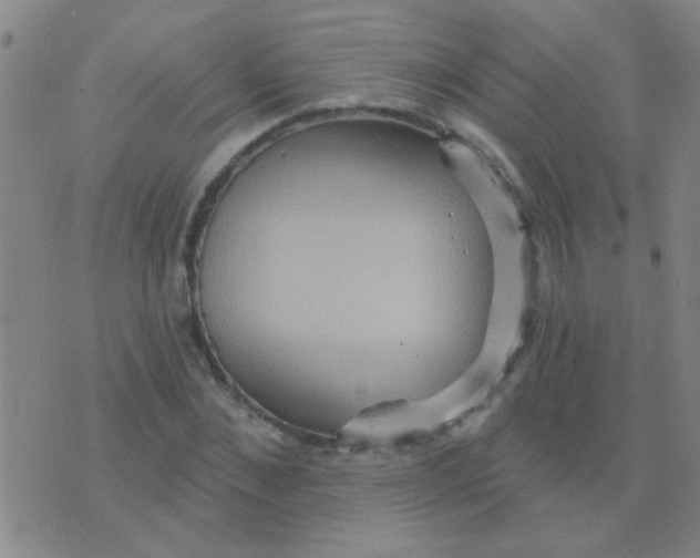 X0000075830876200610061819