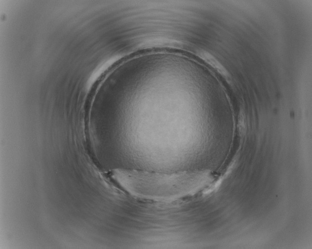 X0000075830877200610061819