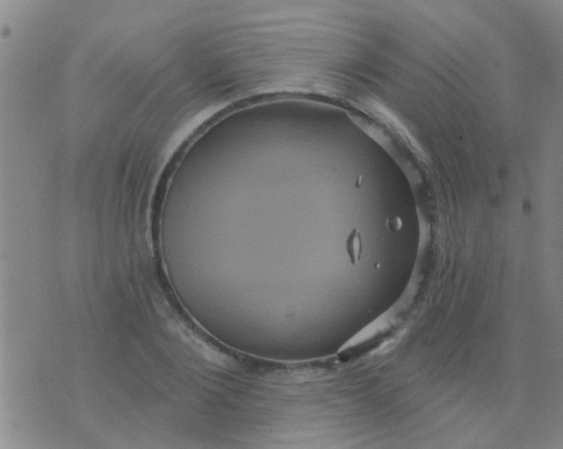 X0000075830884200610061819