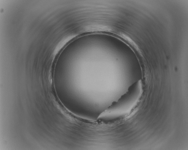 X0000075830885200610061819