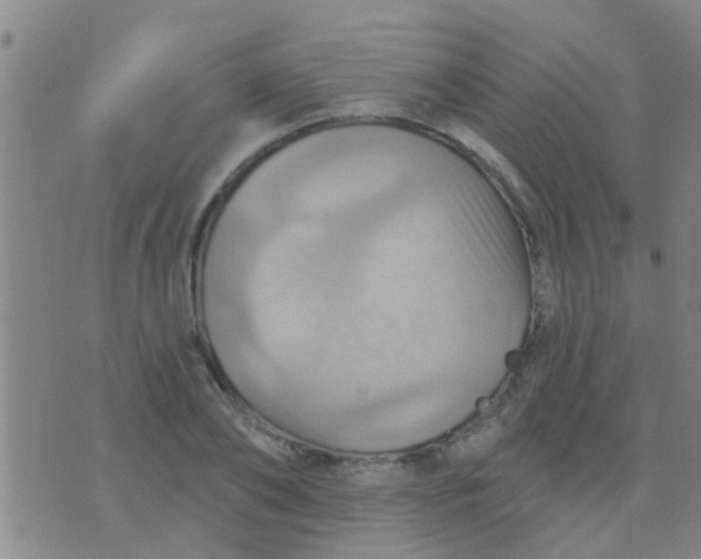 X0000075830886200610061819