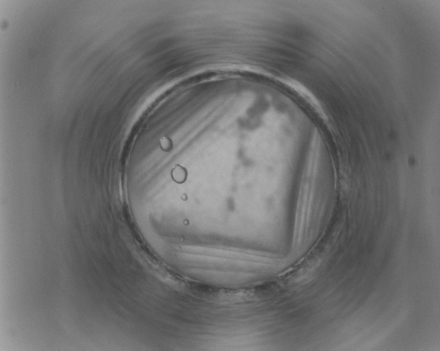 X0000075830887200610061819