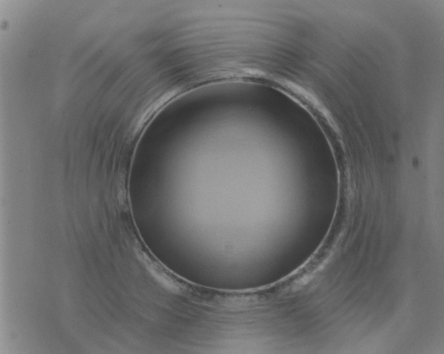 X0000075830889200610061819