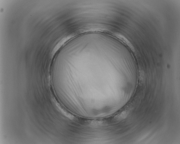 X0000075830890200610061819