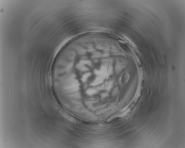 X0000075830891200610061819