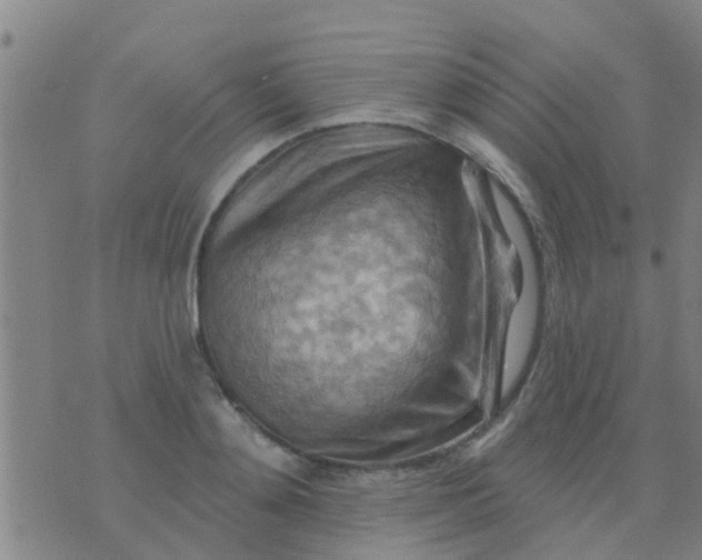 X0000075830892200610061819