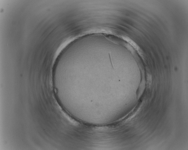 X0000075830894200610061819