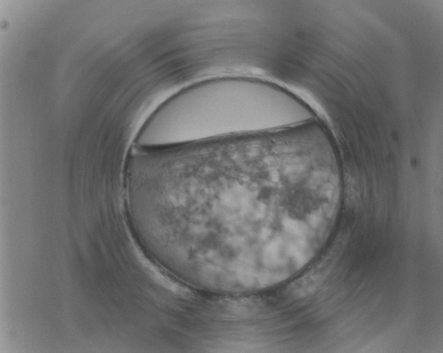 X0000075830895200610061819