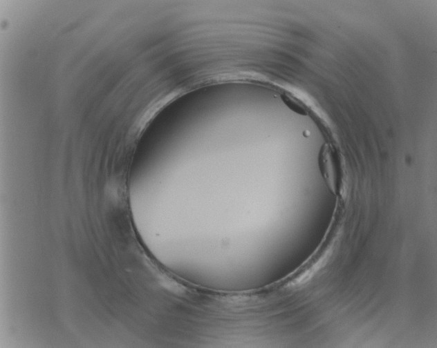 X0000075830897200610061819