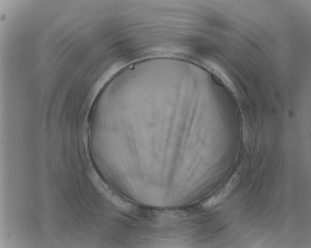 X0000075830899200610061819