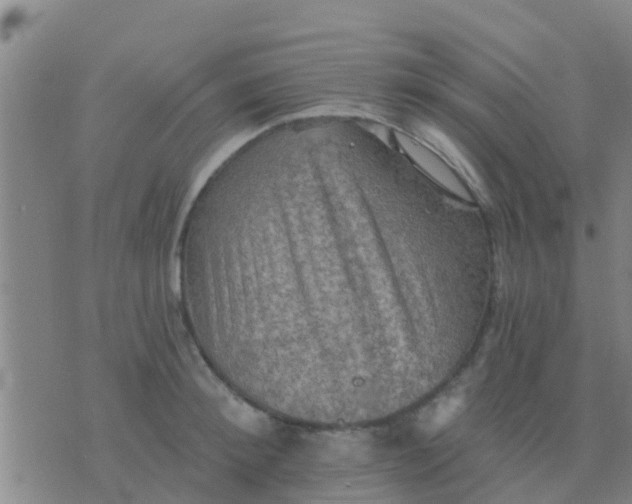 X0000075830900200610061819