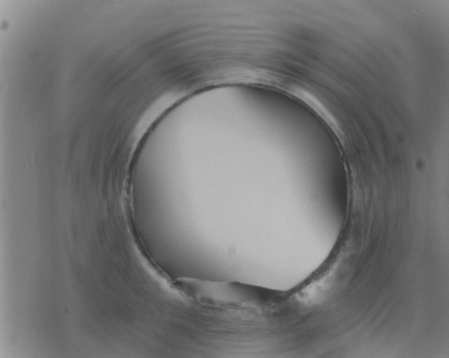 X0000075830901200610061819