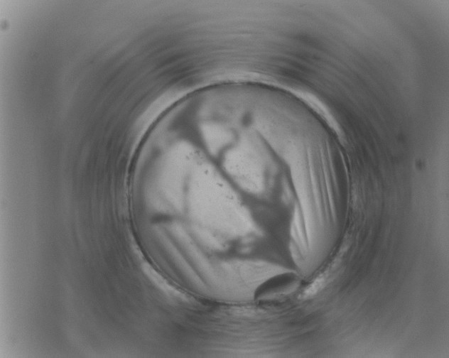 X0000075830903200610061819