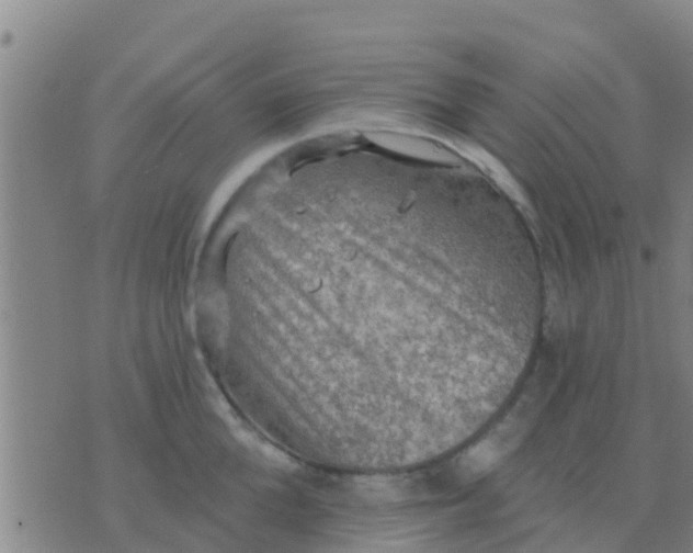 X0000075830904200610061819