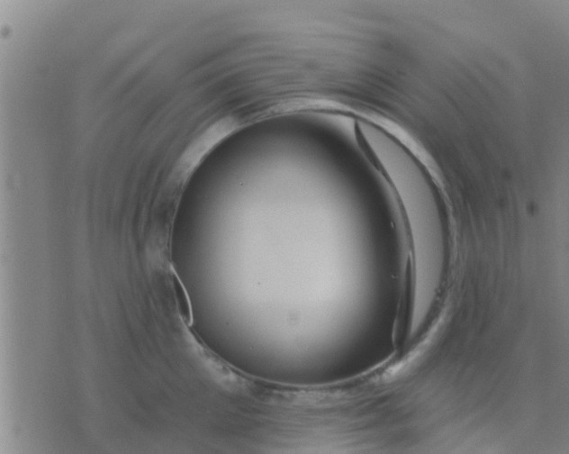 X0000075830905200610061819