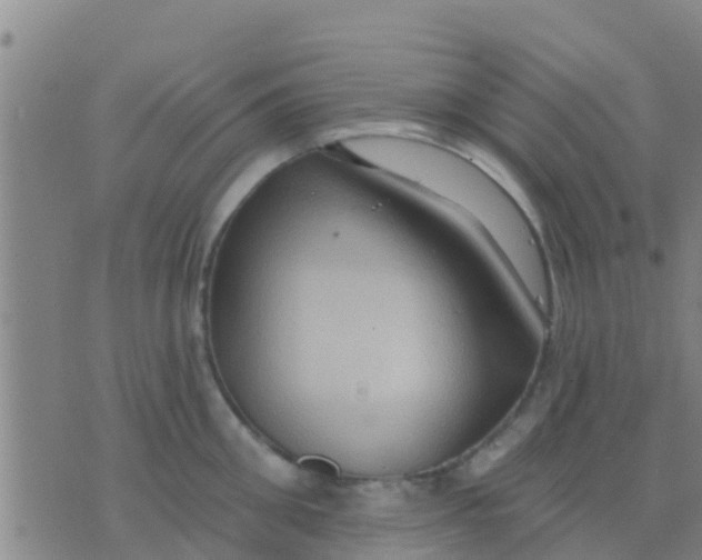 X0000075830906200610061819