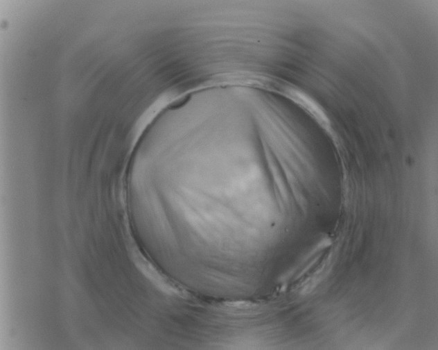 X0000075830907200610061819