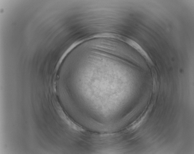 X0000075830908200610061819