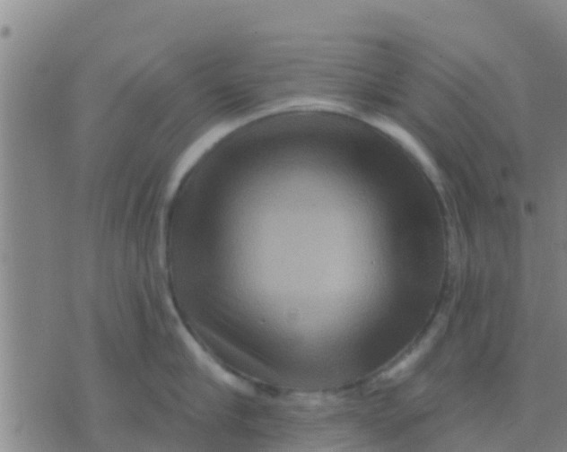 X0000075830910200610061819