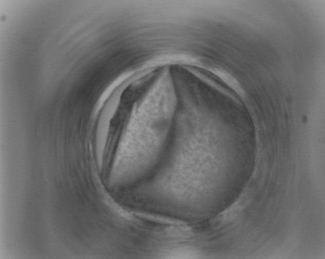 X0000075830912200610061819