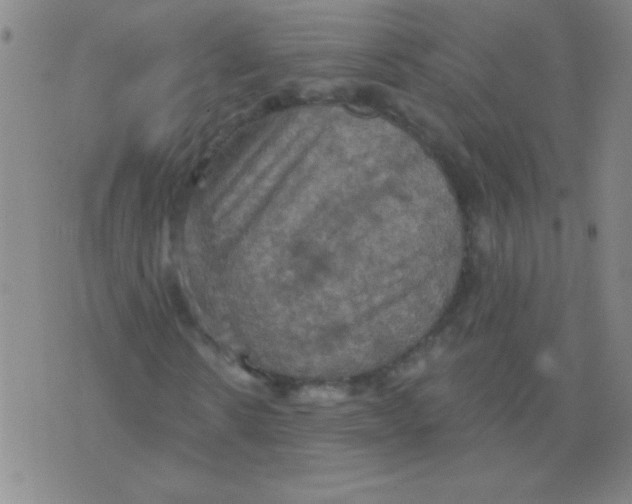 X0000075830914200610061818