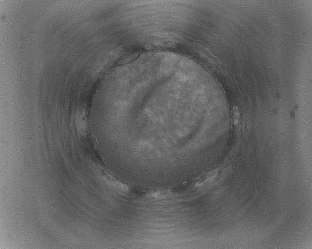 X0000075830915200610061818