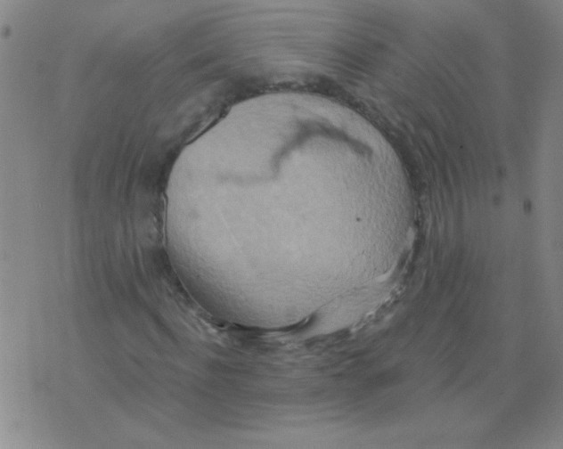 X0000075830916200610061818