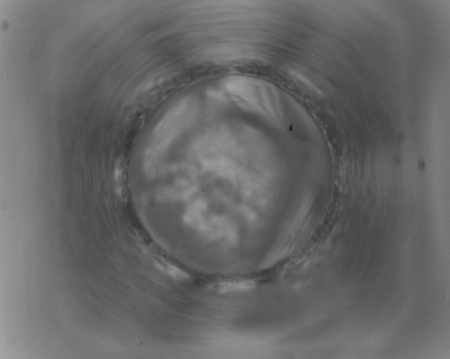 X0000075830917200610061818