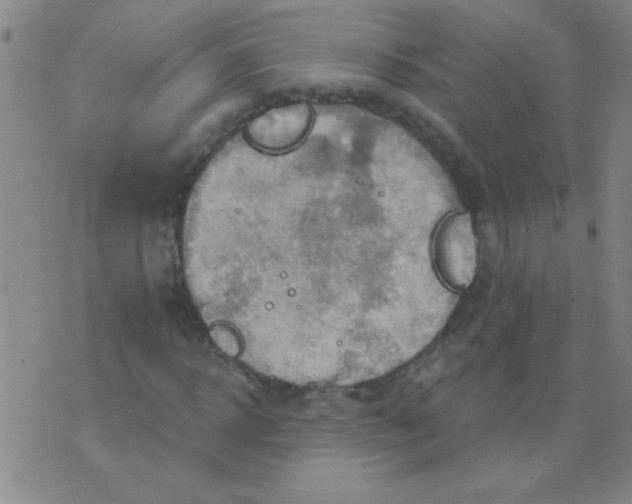 X0000075830918200610061818