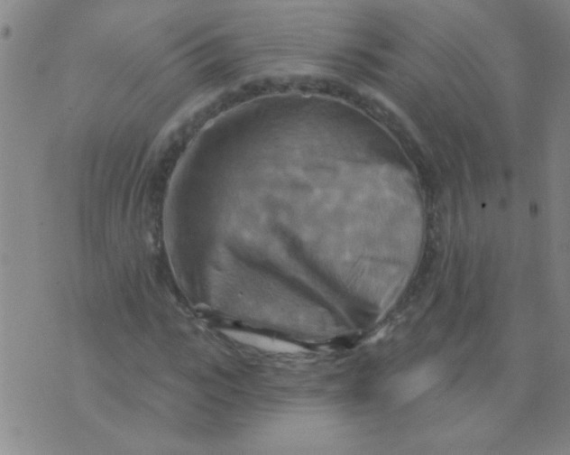 X0000075830919200610061818