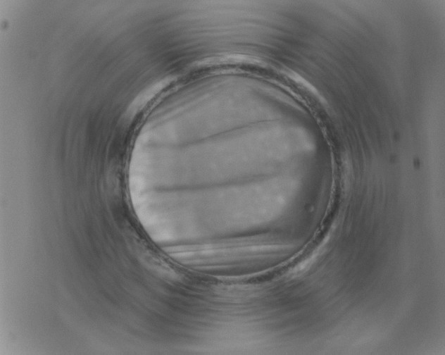 X0000075830921200610061818