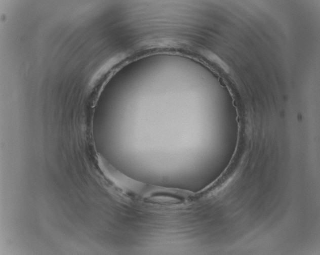 X0000075830922200610061818