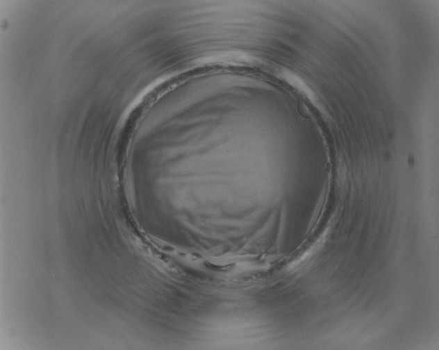 X0000075830923200610061818