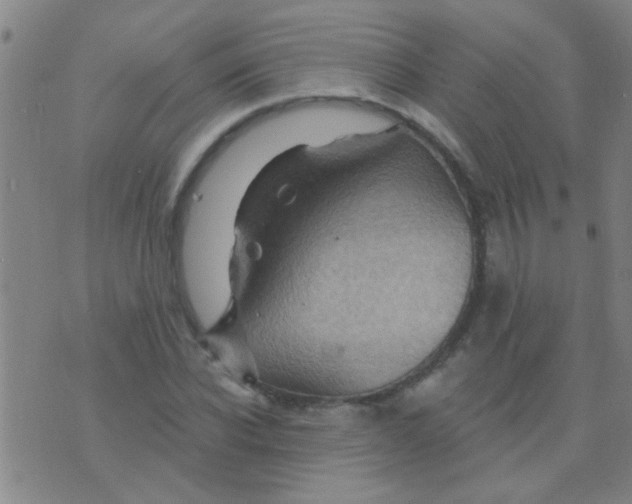 X0000075830926200610061818