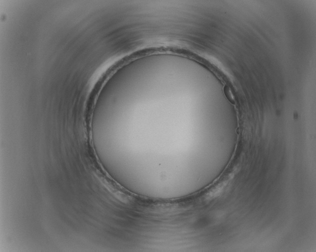 X0000075830927200610061818