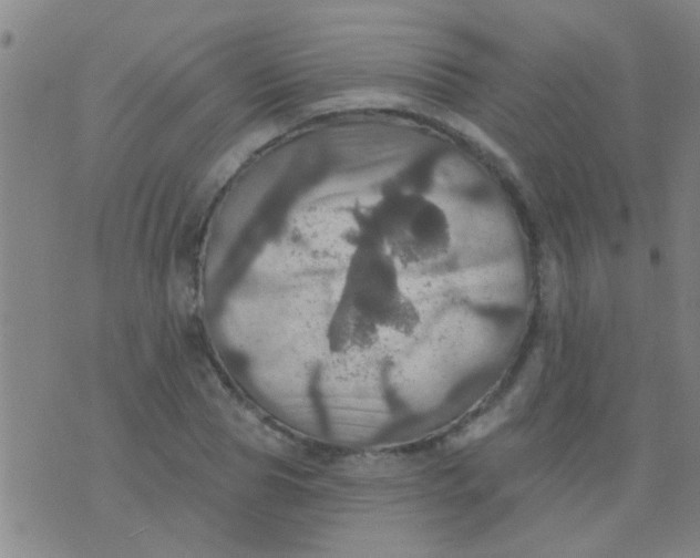 X0000075830929200610061818