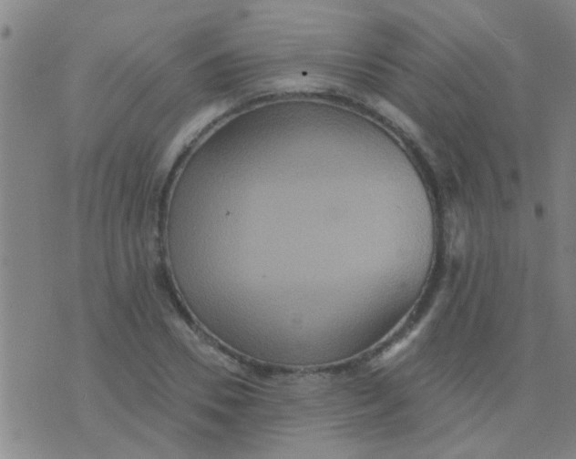 X0000075830930200610061818