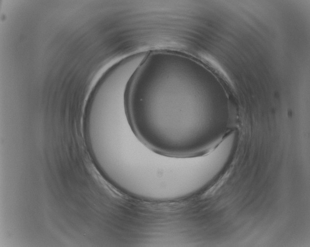 X0000075830932200610061818